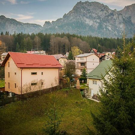 Casa Maia Hotel Buşteni Eksteriør billede