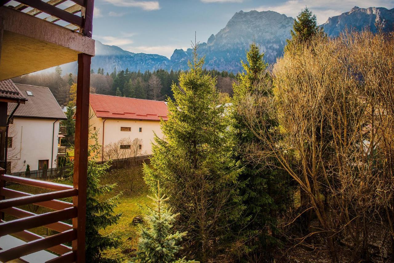 Casa Maia Hotel Buşteni Eksteriør billede