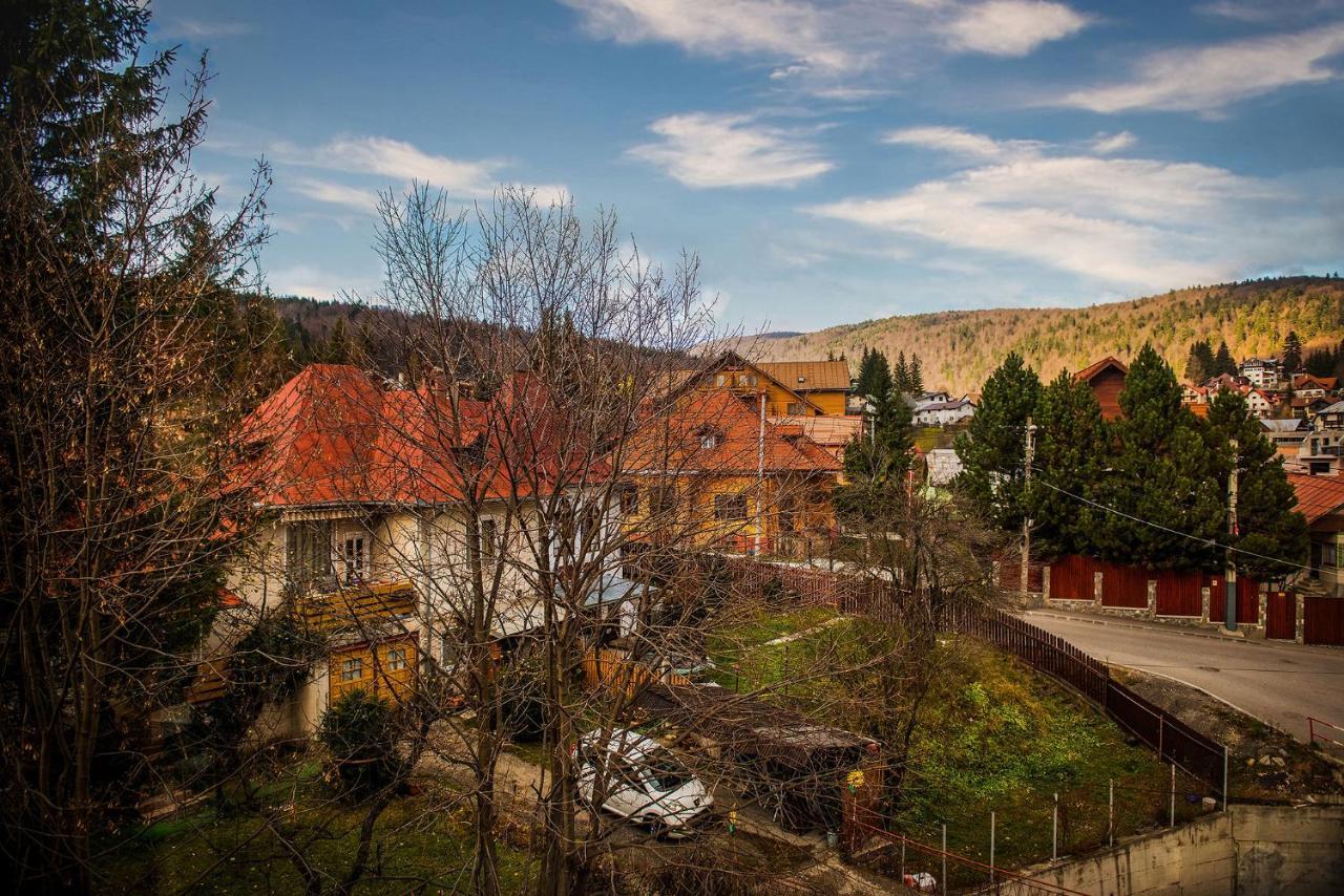 Casa Maia Hotel Buşteni Eksteriør billede