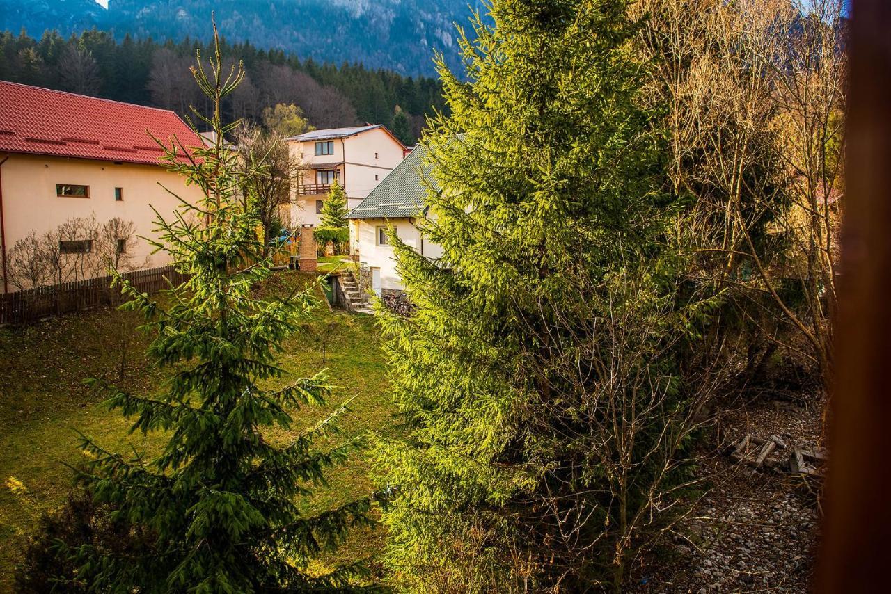 Casa Maia Hotel Buşteni Eksteriør billede