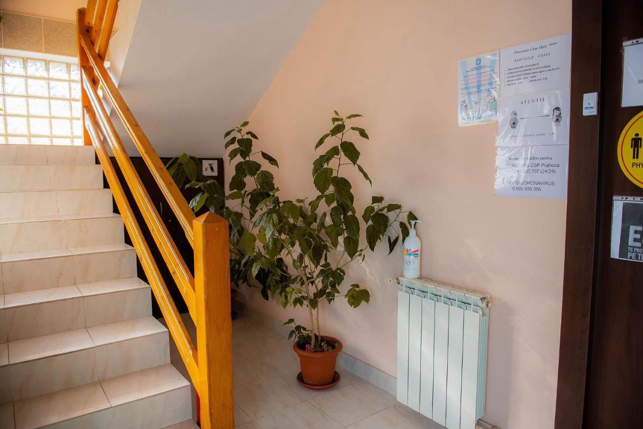 Casa Maia Hotel Buşteni Eksteriør billede